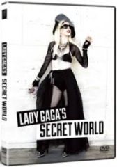 DVD cover featuring Lady Gaga Impersonator and Lookalike Renée Nicole Gray DVD cover featuring r Lady Gaga Impersonator Renee Nicole Gray